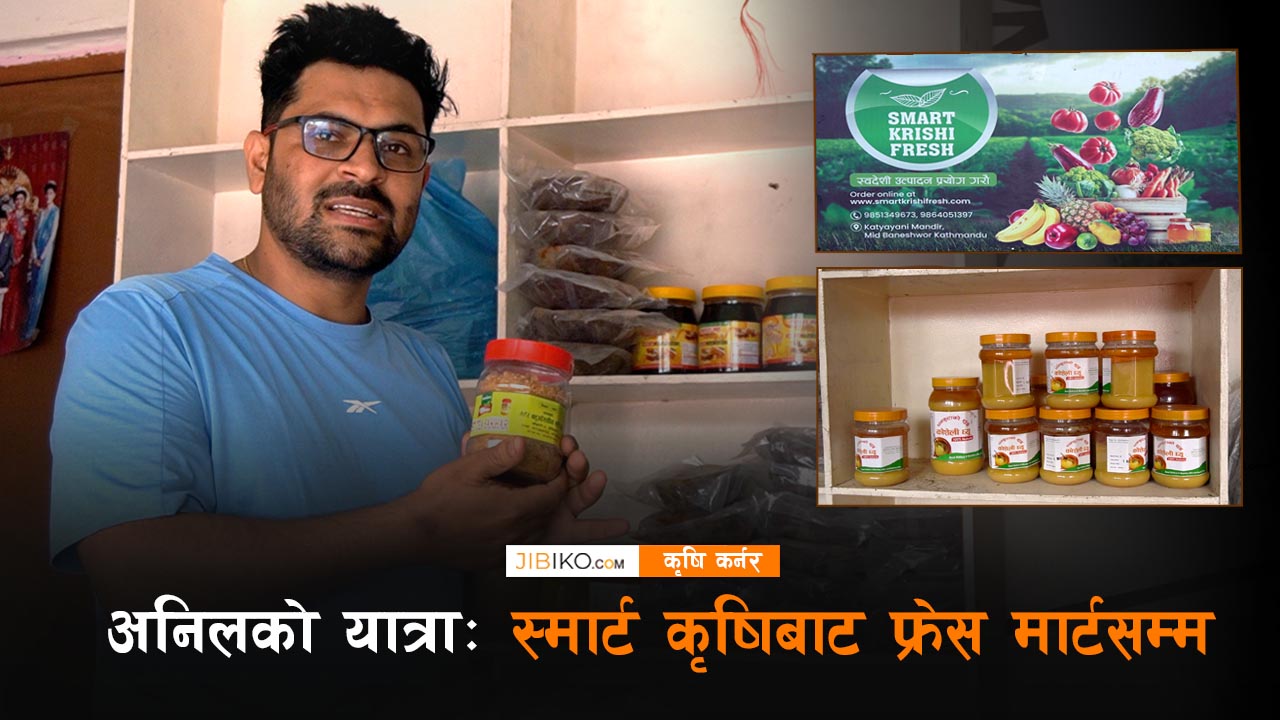 अनिलको माटो प्रेम: इञ्जिनियरिङ छोडेर स्मार्ट कृषि