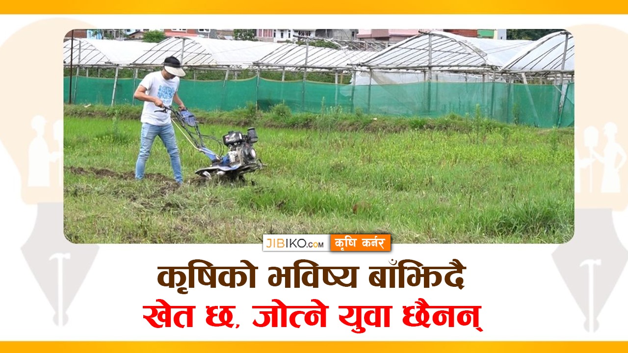 माटो छ, जमिन छ, तर काम गर्ने युवा छैनन्