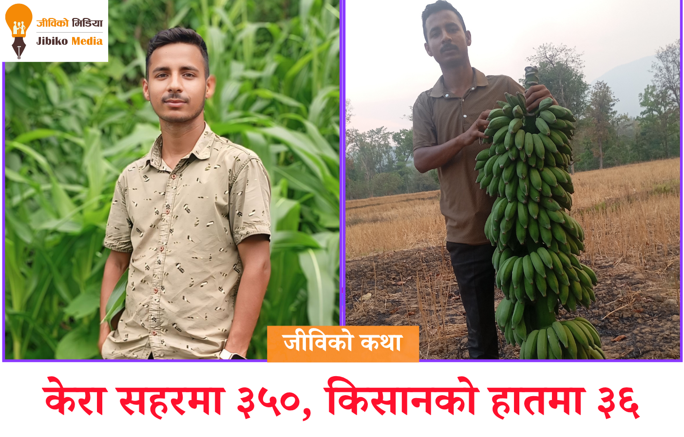 केरा सहरमा ३५०, किसानको हातमा ३६