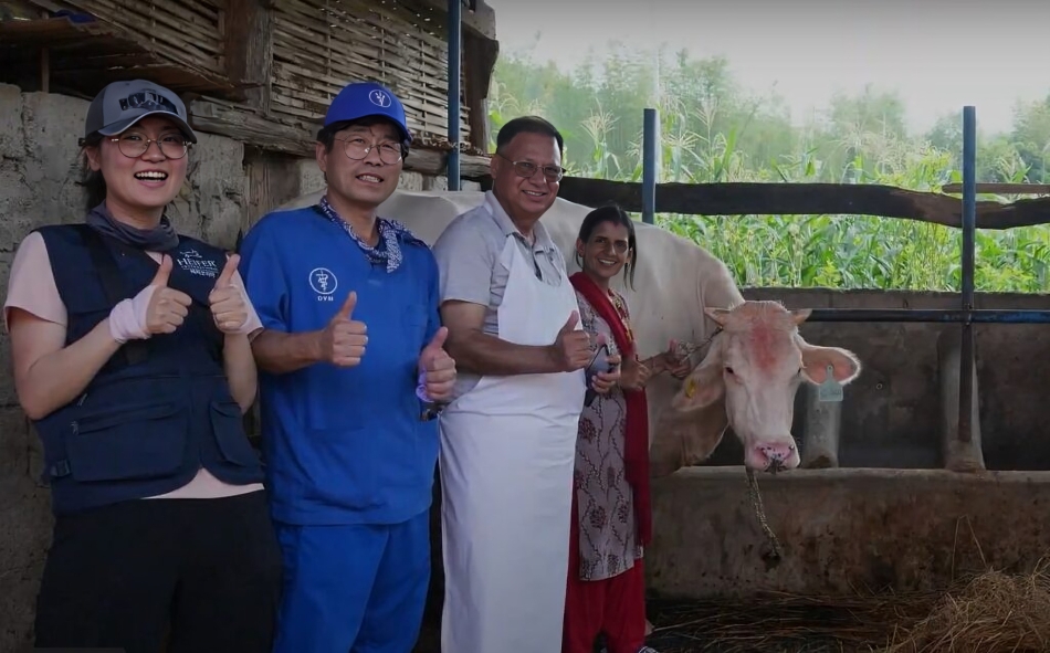 ५ नगरपालिकामा ‘म्युनिसिपल इनोभेसन फेलोशिप’ खुल्यो, मासिक ६२ हजार रुपैयाँ सुविधा