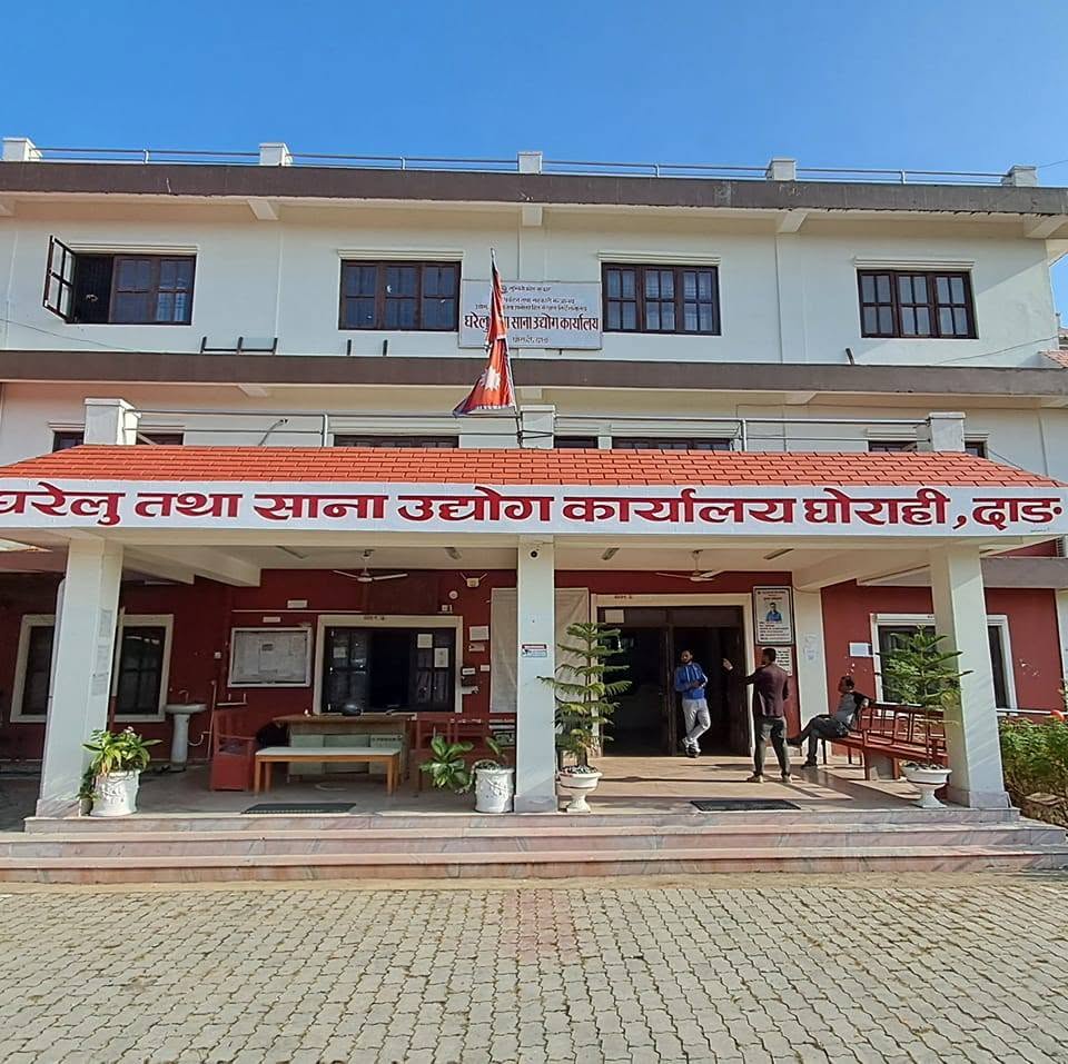 डिजिटल मार्केटिङ, कटाई–सिलाई र मन्टेश्वरी तालिमका लागि आवेदन खुला
