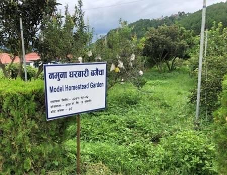 फूल तथा नर्सरी व्यवसाय गर्नुहुन्छ? सरकारी तालिमका लागि आवेदन खुल्यो